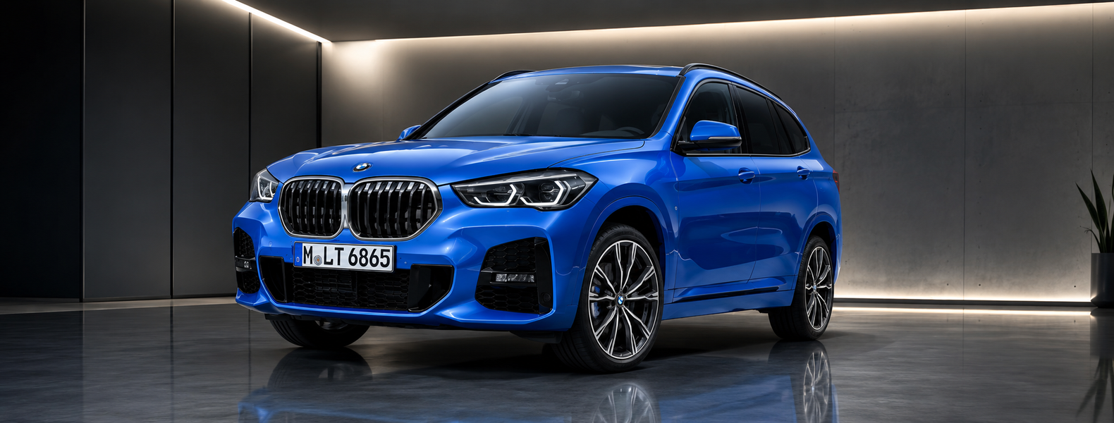BMW X1 F48