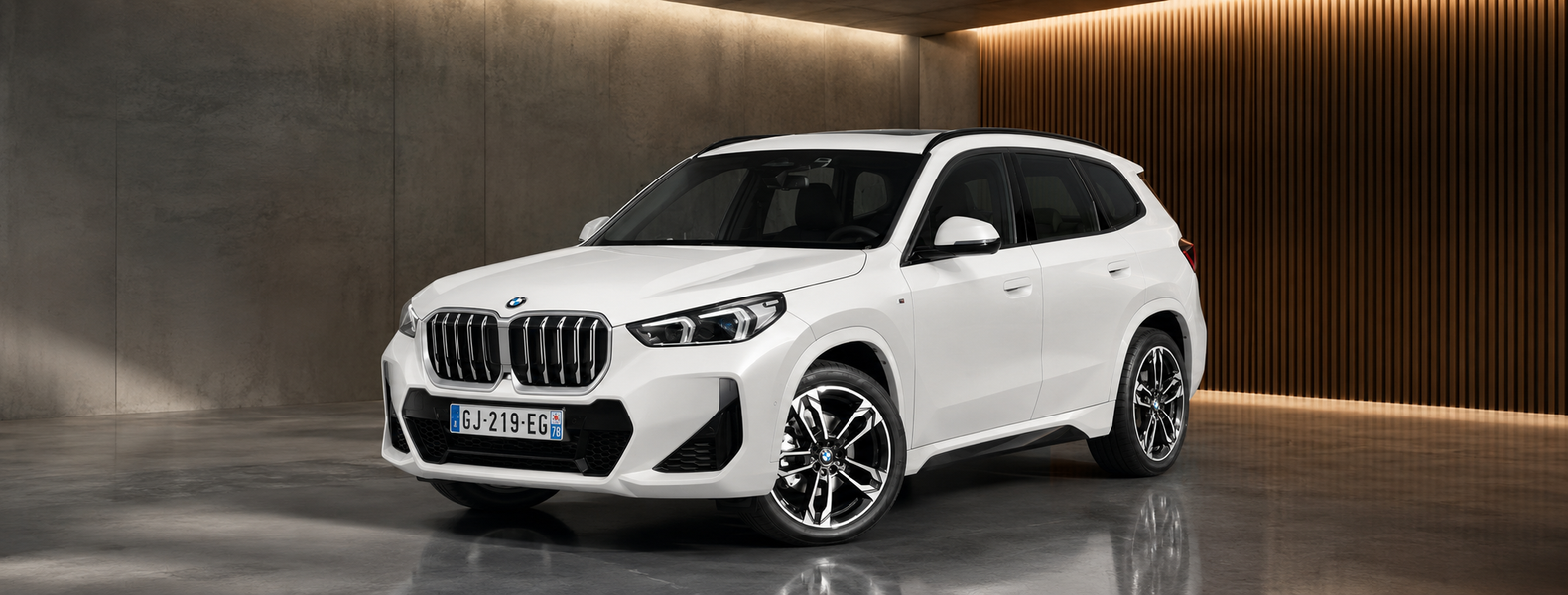 BMW X1 U11