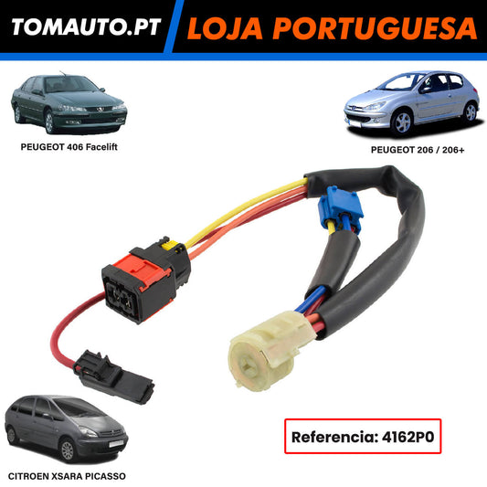 Cabo Interruptor Ignição Peugeot 206, 406 e Citroen Xsara Picaso - 4162P0